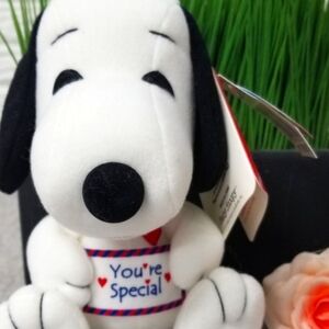 Snoopy Valentine's Day Plushie